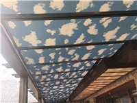 蜂巢簾